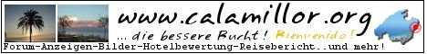 Logobanner calamillor.org